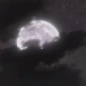 李恩美大战黑人
